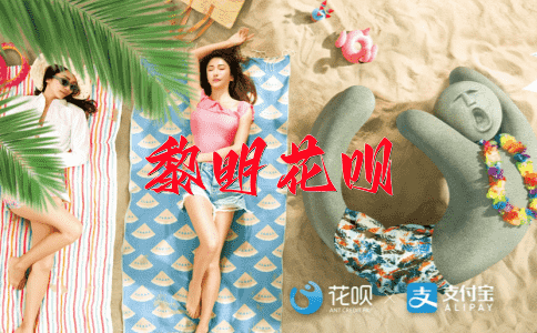 使用各种方法花呗